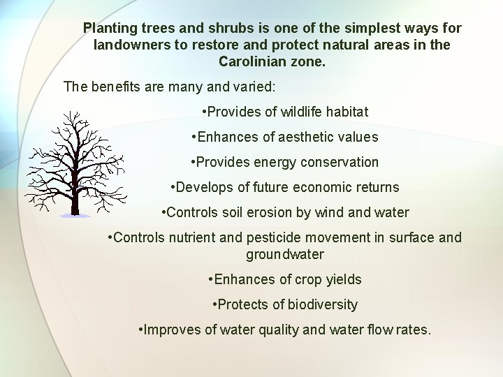 Planting trees and shrubs is one of the simplest ways for landowners to restore