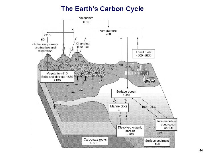 The Earth’s Carbon Cycle 44 