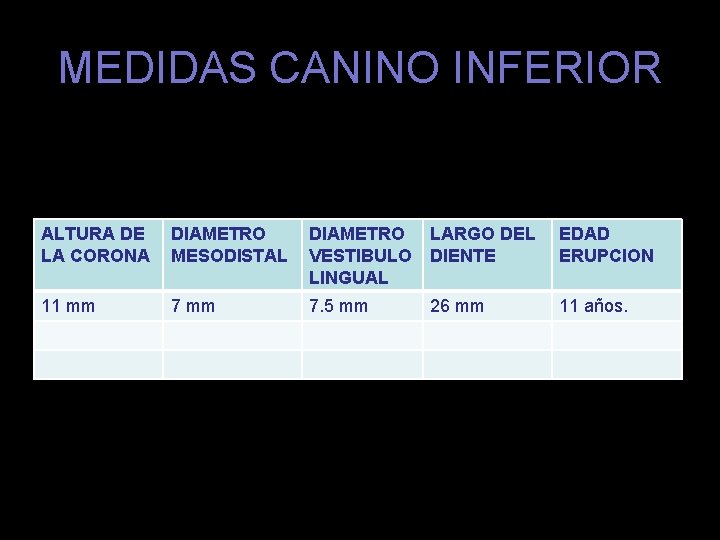 MEDIDAS CANINO INFERIOR ALTURA DE LA CORONA DIAMETRO MESODISTAL DIAMETRO VESTIBULO LINGUAL LARGO DEL