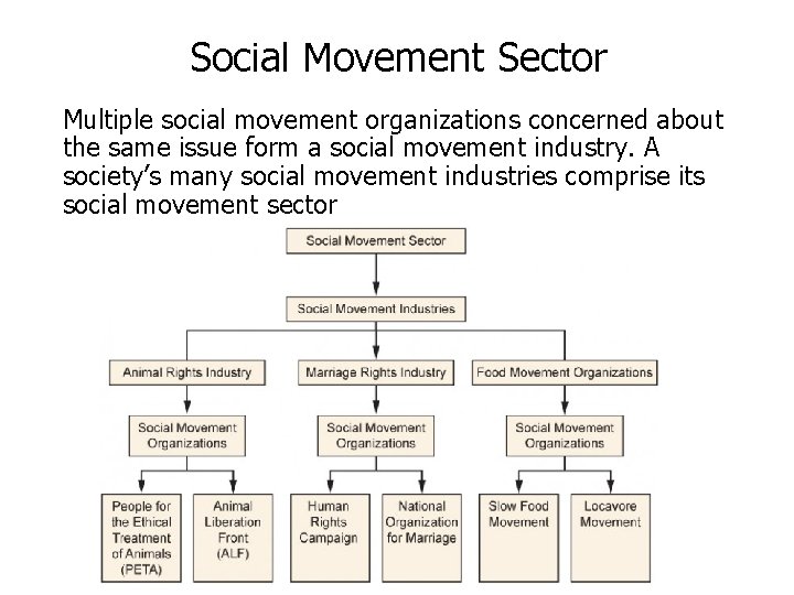 Social Movement Sector Multiple social movement organizations concerned about the same issue form a