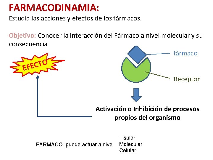 FARMACODINAMIA: Estudia las acciones y efectos de los fármacos. Objetivo: Conocer la interacción del FARMACODINAMIA: Estudia las acciones y efectos de los fármacos. Objetivo: Conocer la interacción del