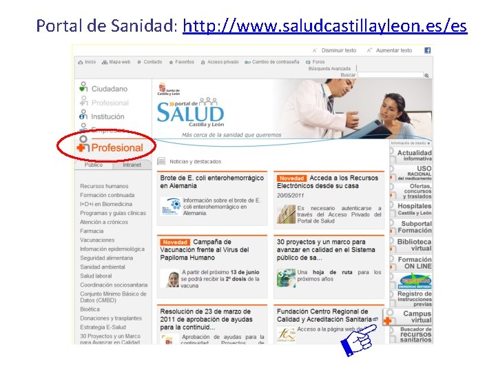 Portal de Sanidad: http: //www. saludcastillayleon. es/es Portal de Sanidad: http: //www. saludcastillayleon. es/es