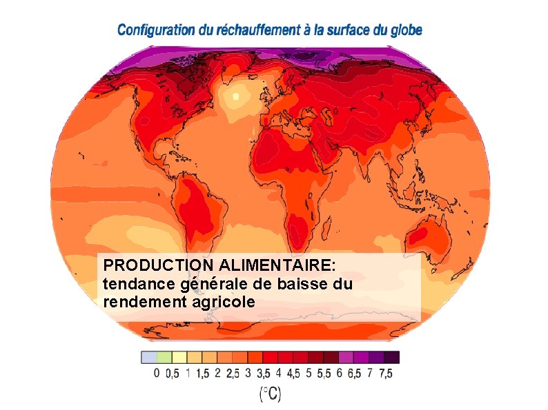 PRODUCTION ALIMENTAIRE: tendance générale de baisse du rendement agricole 