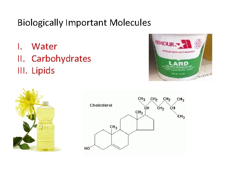 Biologically Important Molecules I. Water II. Carbohydrates III. Lipids Biologically Important Molecules I. Water II. Carbohydrates III. Lipids