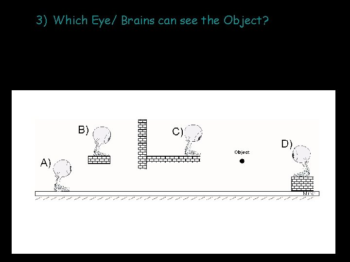 3) Which Eye/ Brains can see the Object? 