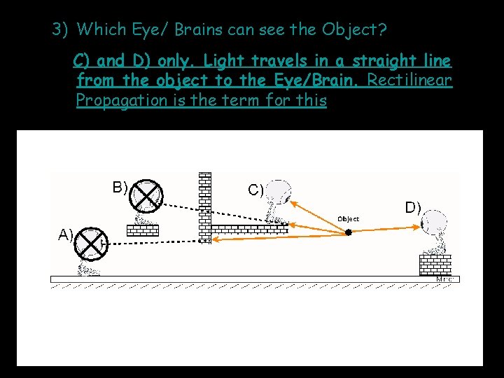 3) Which Eye/ Brains can see the Object? C) and D) only. Light travels