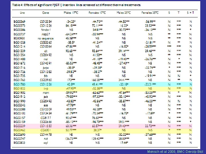 Mensch et al 2008, BMC Devolp Biol 