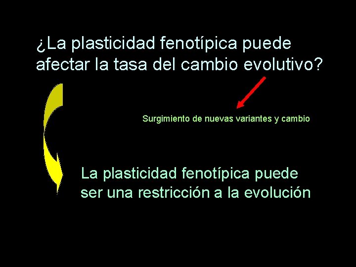 ¿La plasticidad fenotípica puede afectar la tasa del cambio evolutivo? Surgimiento de nuevas variantes