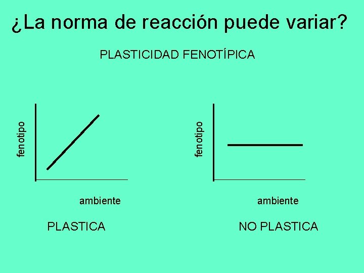 ¿La norma de reacción puede variar? fenotipo PLASTICIDAD FENOTÍPICA ambiente PLASTICA ambiente NO PLASTICA