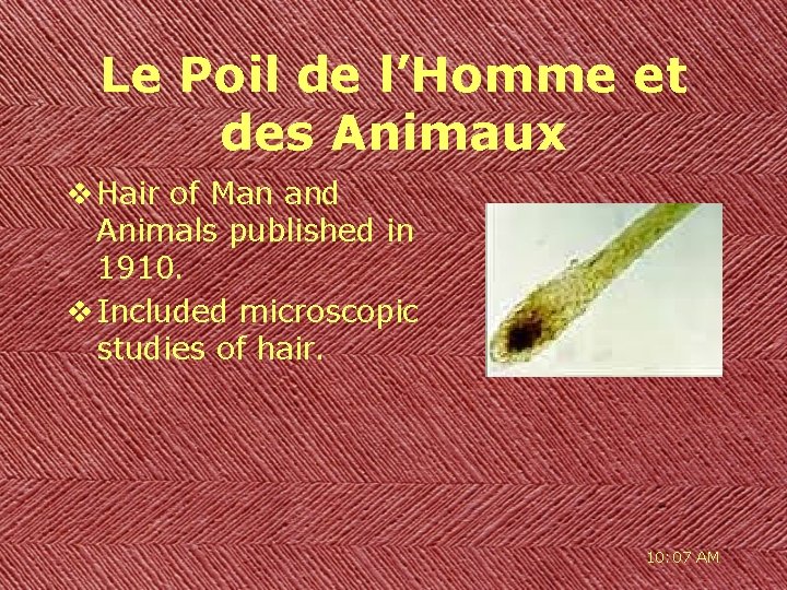 Le Poil de l’Homme et des Animaux v Hair of Man and Animals published