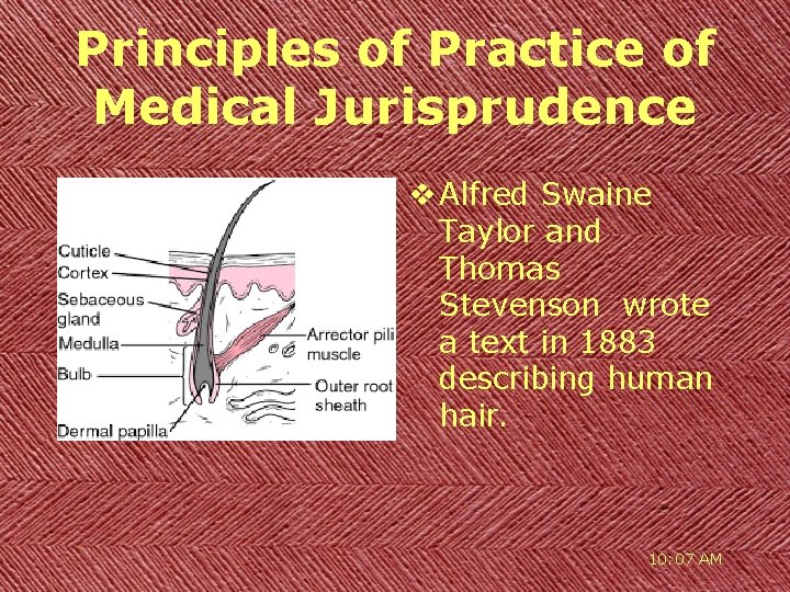 Principles of Practice of Medical Jurisprudence v Alfred Swaine Taylor and Thomas Stevenson wrote
