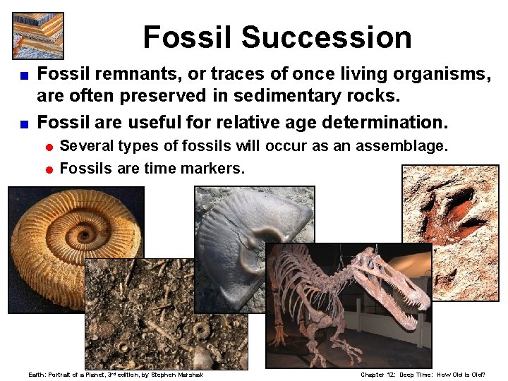 Fossil Succession Fossil remnants, or traces of once living organisms, are often preserved in