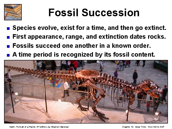 Fossil Succession Species evolve, exist for a time, and then go extinct. < First