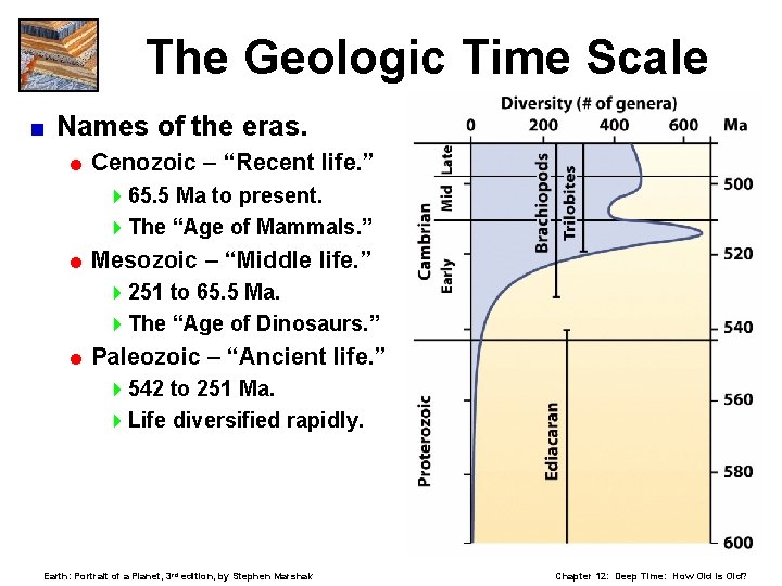 The Geologic Time Scale < Names of the eras. = Cenozoic – “Recent life.