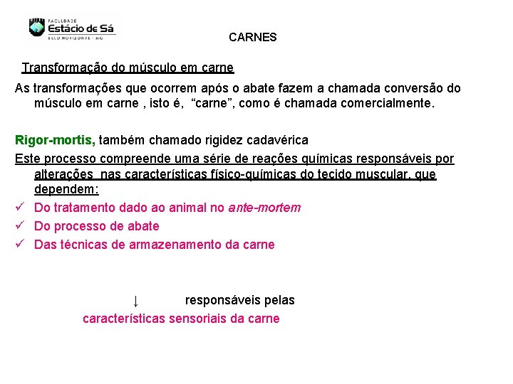 CARNES Transformação do músculo em carne As transformações que ocorrem após o abate fazem