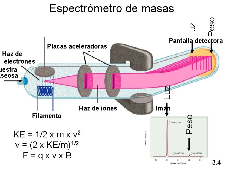 Placas aceleradoras Peso Luz Espectrómetro de masas Pantalla detectora Luz Haz de electrones uestra