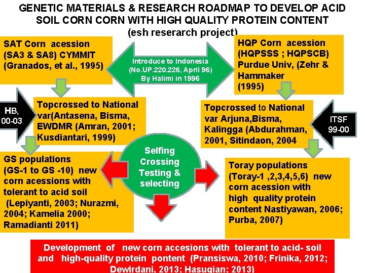 GENETIC MATERIALS & RESEARCH ROADMAP TO DEVELOP ACID SOIL CORN WITH HIGH QUALITY PROTEIN