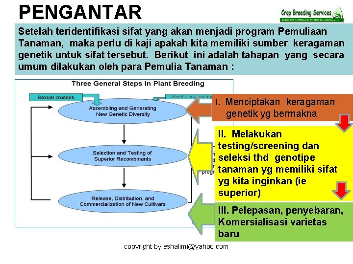 PENGANTAR Setelah teridentifikasi sifat yang akan menjadi program Pemuliaan Tanaman, maka perlu di kaji