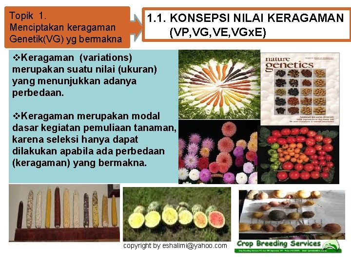 Topik 1. Menciptakan keragaman Genetik(VG) yg bermakna 1. 1. KONSEPSI NILAI KERAGAMAN (VP, VG,