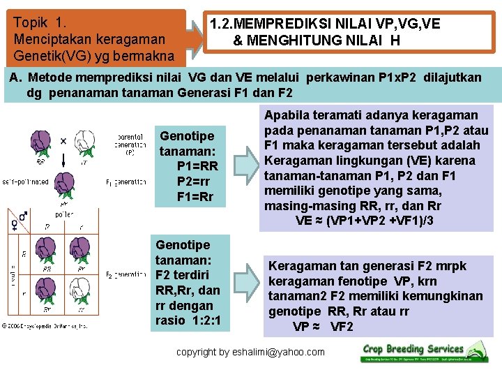 Topik 1. Menciptakan keragaman Genetik(VG) yg bermakna 1. 2. MEMPREDIKSI NILAI VP, VG, VE