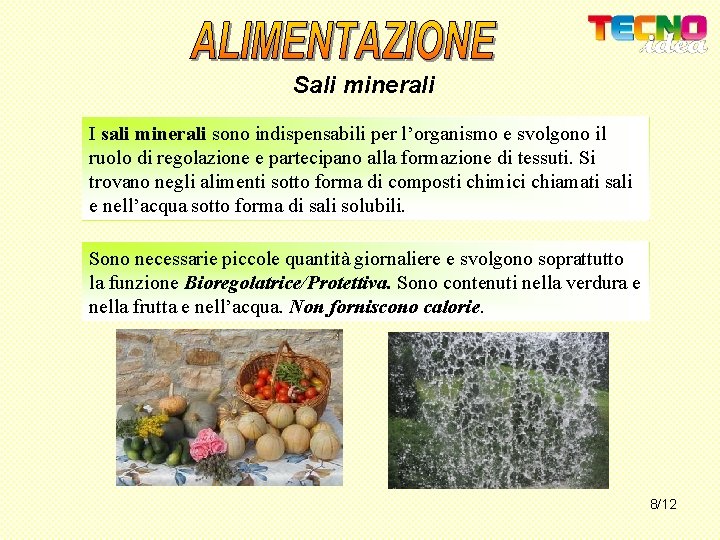 Sali minerali I sali minerali sono indispensabili per l’organismo e svolgono il ruolo di