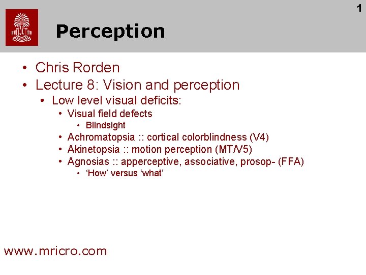 1 Perception • Chris Rorden • Lecture 8: Vision and perception • Low level