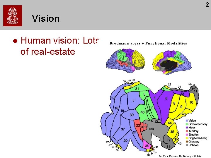 2 Vision l Human vision: Lots of real-estate 