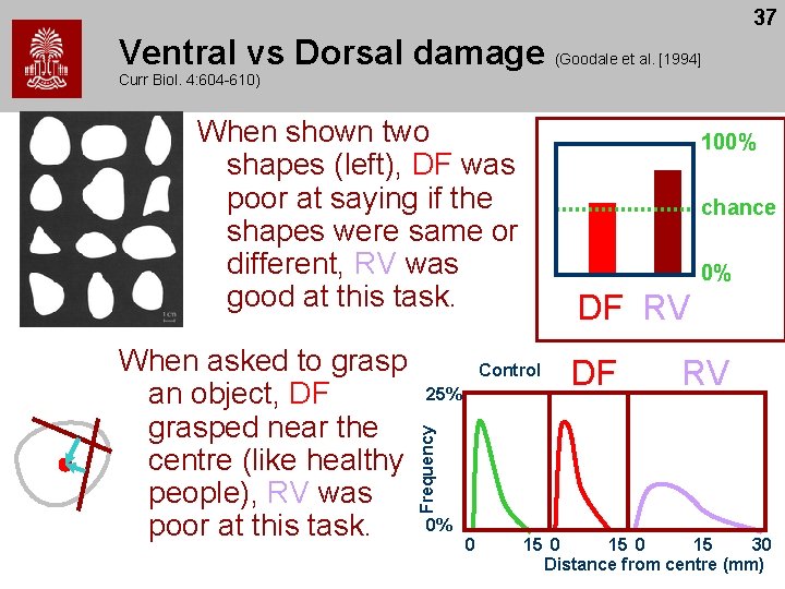 37 Ventral vs Dorsal damage (Goodale et al. [1994] Curr Biol. 4: 604 -610)