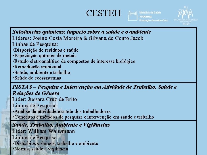 CESTEH Substâncias químicas: impacto sobre a saúde e o ambiente Líderes: Josino Costa Moreira