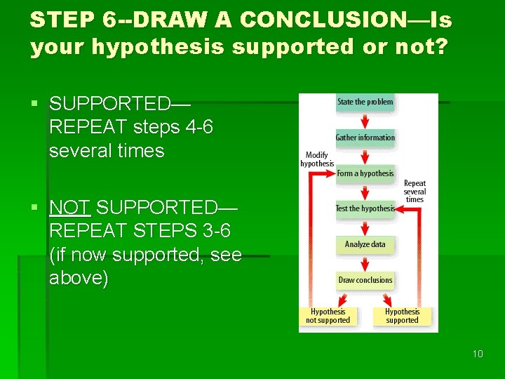 STEP 6 --DRAW A CONCLUSION—Is your hypothesis supported or not? § SUPPORTED— REPEAT steps