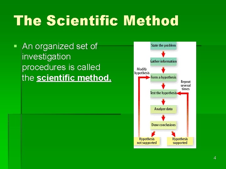 The Scientific Method § An organized set of investigation procedures is called the scientific