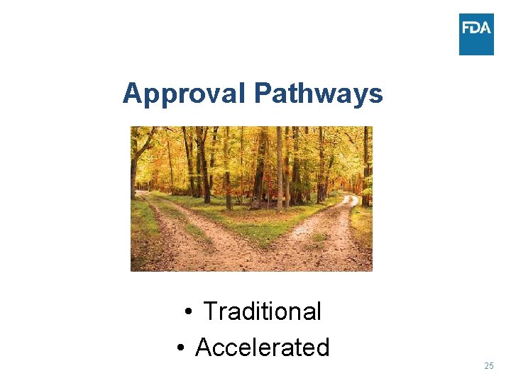 Approval Pathways • Traditional • Accelerated 25 