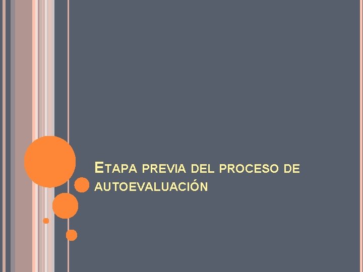 ETAPA PREVIA DEL PROCESO DE AUTOEVALUACIÓN 