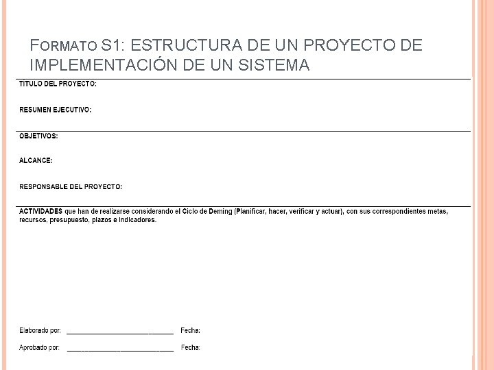 FORMATO S 1: ESTRUCTURA DE UN PROYECTO DE IMPLEMENTACIÓN DE UN SISTEMA 