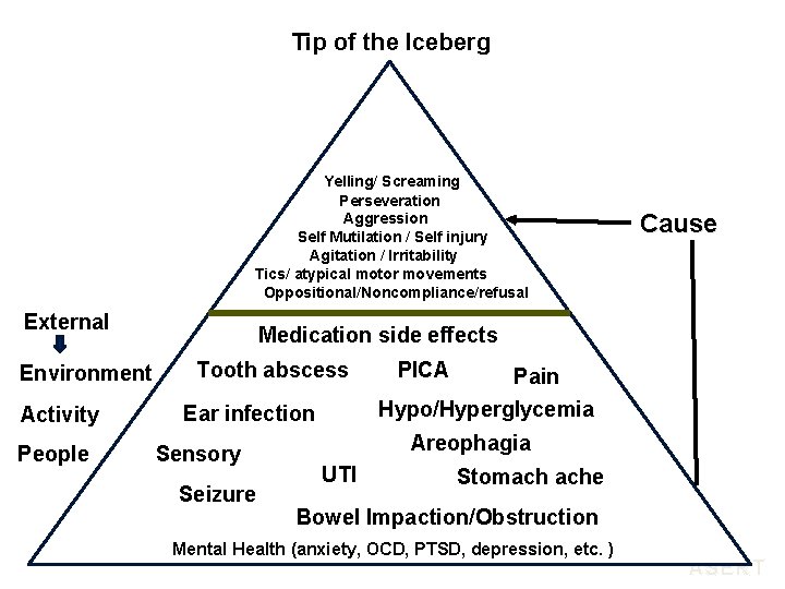 Tip of the Iceberg Yelling/ Screaming Perseveration Aggression Self Mutilation / Self injury Agitation Tip of the Iceberg Yelling/ Screaming Perseveration Aggression Self Mutilation / Self injury Agitation