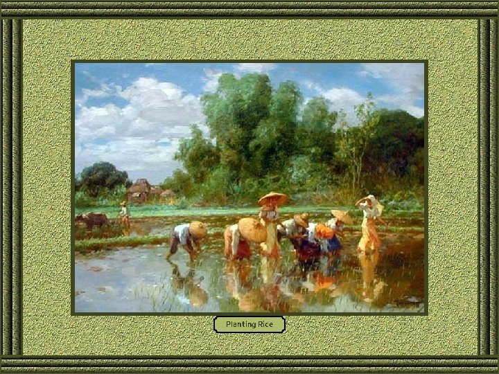 Planting Rice 