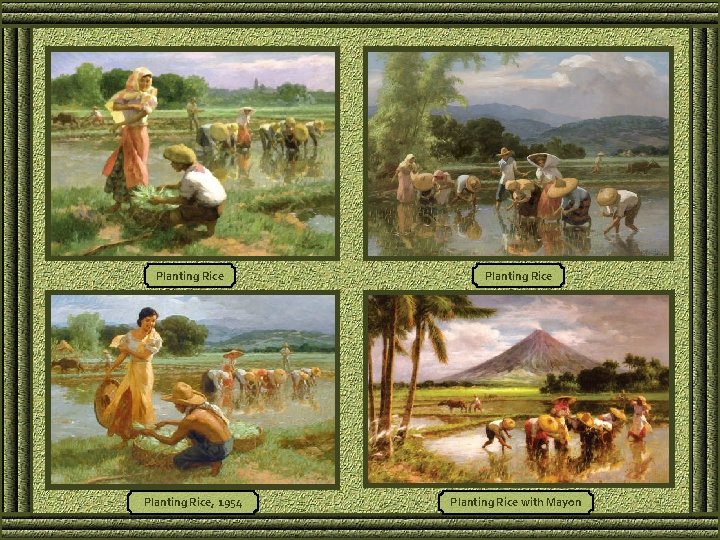 Planting Rice, 1954 Planting Rice with Mayon 