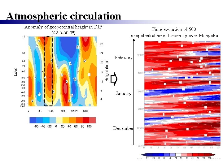 Atmospheric circulation Anomaly of geopotential height in DJF (42. 5 -50. 0 o) Time