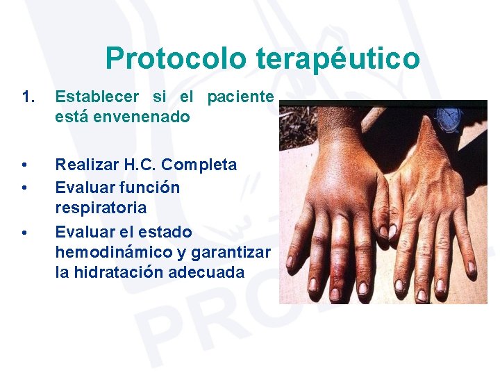 Protocolo terapéutico 1. Establecer si el paciente está envenenado • • Realizar H. C.