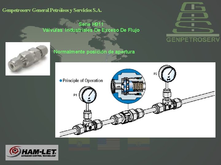 Genpetroserv General Petróleos y Servicios S. A. Serie H 911 Válvulas Industriales De Exceso