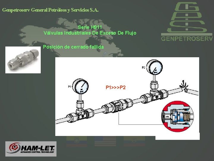 Genpetroserv General Petróleos y Servicios S. A. Serie H 911 Válvulas Industriales De Exceso