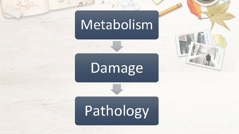 Metabolism Damage Pathology 