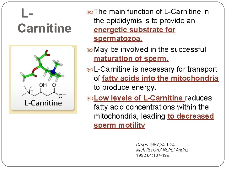 LCarnitine 15 The main function of L-Carnitine in the epididymis is to provide an