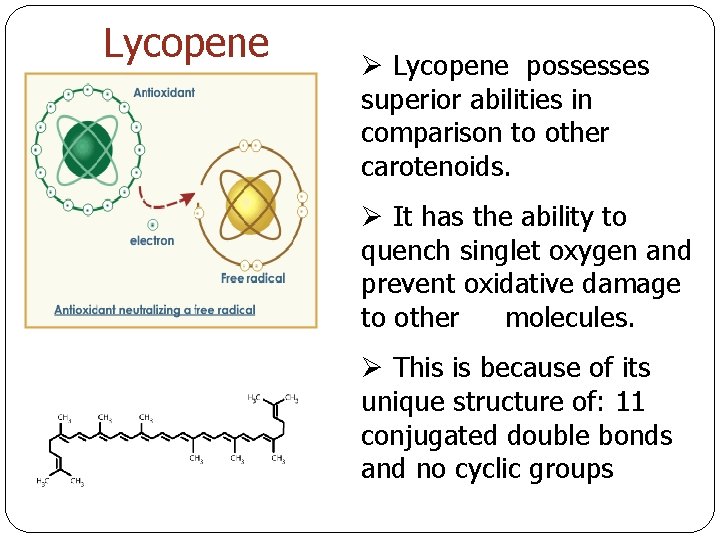 Lycopene Ø Lycopene possesses superior abilities in comparison to other carotenoids. Ø It has