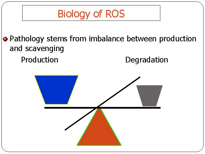 Biology of ROS Pathology stems from imbalance between production and scavenging Production Degradation 4