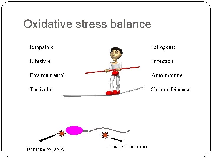 Oxidative stress balance 5 Idiopathic Iatrogenic Lifestyle Infection Environmental Autoimmune Testicular Chronic Disease Damage