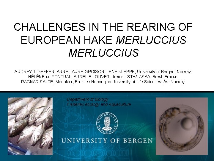 CHALLENGES IN THE REARING OF EUROPEAN HAKE MERLUCCIUS AUDREY J. GEFFEN, ANNE-LAURE GROISON, LENE