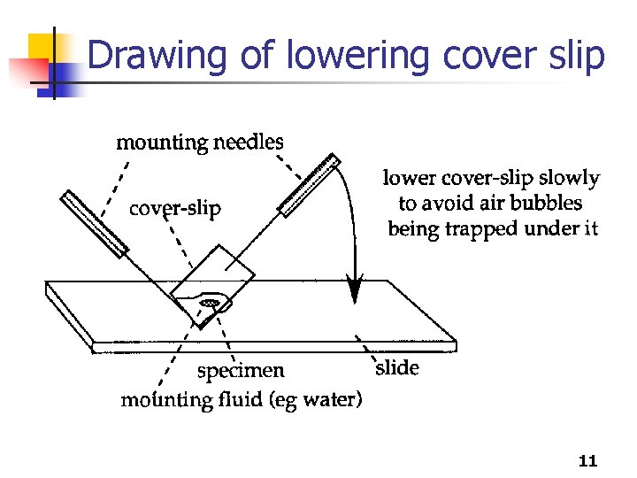 Drawing of lowering cover slip 11 