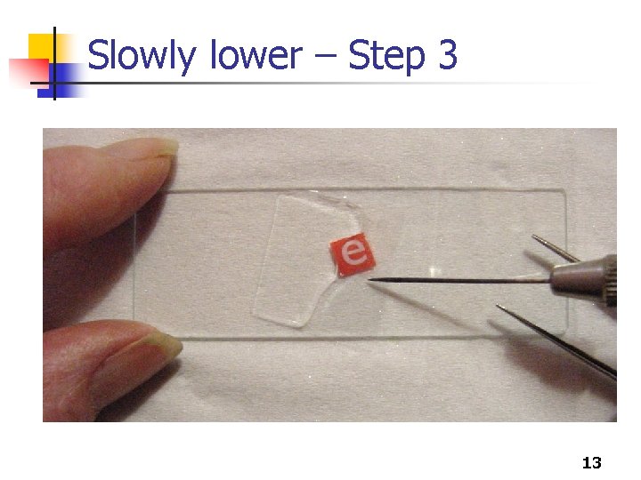 Slowly lower – Step 3 13 