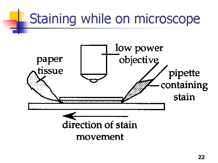 Staining while on microscope 22 